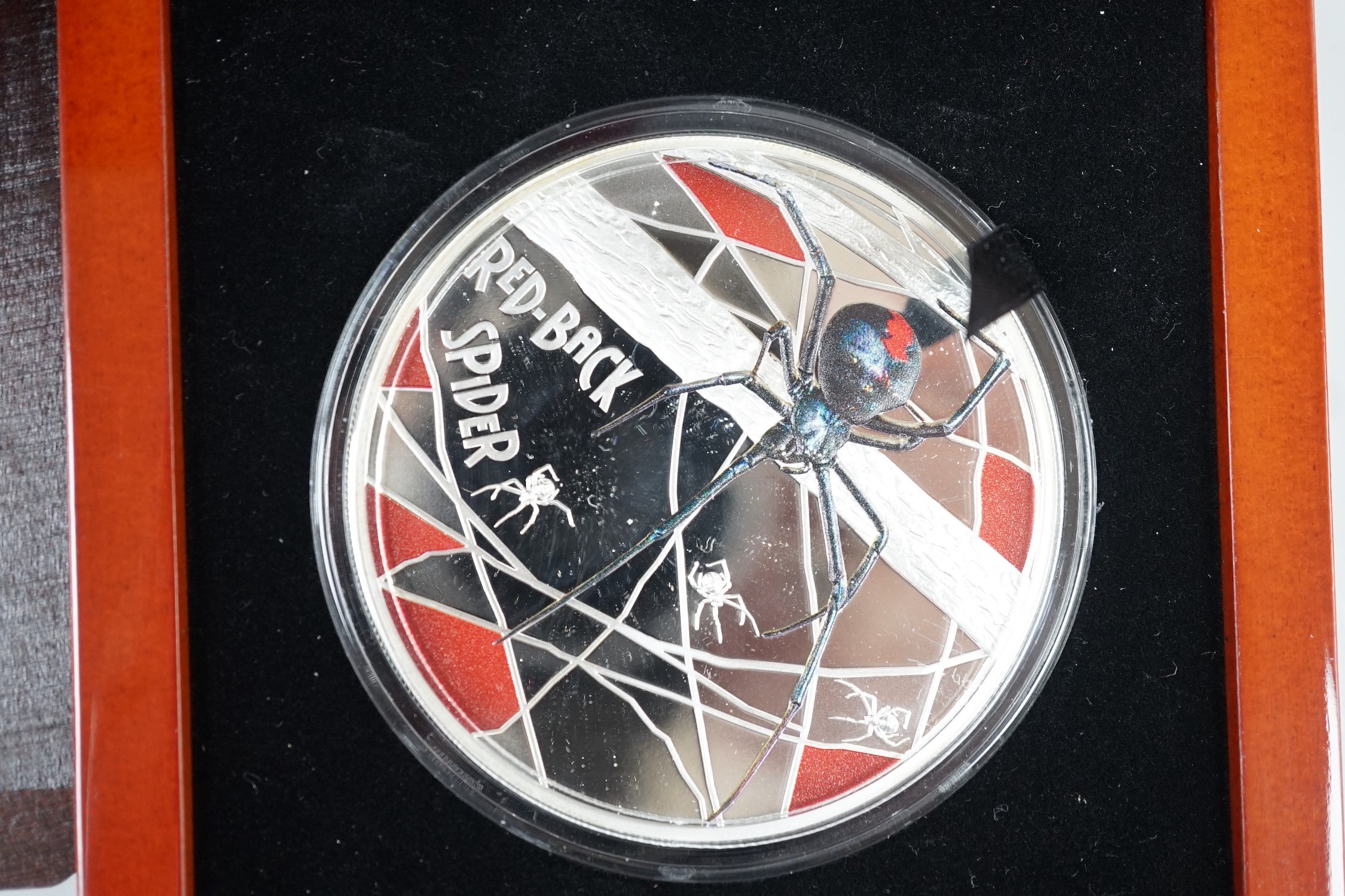 A World Money Fair Red back spider 5oz. Proof silver coin, three art colour 1oz. Silver dollars and a Burning Robin Hood 1oz. BU silver coin (5)